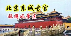 大鸡巴草逼动态图中国北京-东城古宫旅游风景区